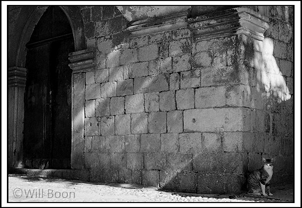 A cat hides in the shadows of the old town buildings, Dubrovnik, Croatia