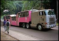 The infamous camel bus, Havana