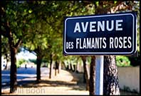 Avenue des Flamants Roses, Provence