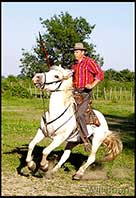 Camargue horse with rider in traditional provençal clothing