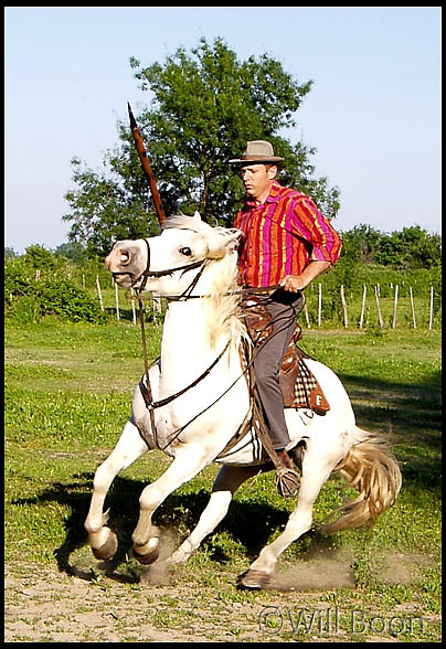 traditions camarguaise