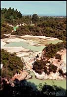 Wai-o-tapu Thermal Area, Around Rotorua, North Island