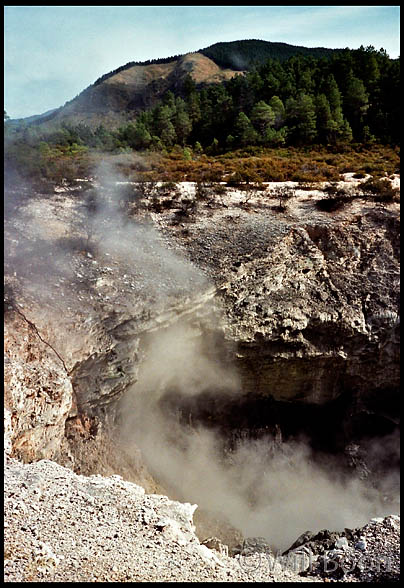 Steam rising up from a
 thermal pool, Wai-O-Tapu, North Island New Zealand