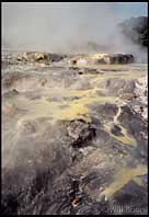 Boiling hot water running over the rocks of a geyser, Te Whakarewarewa