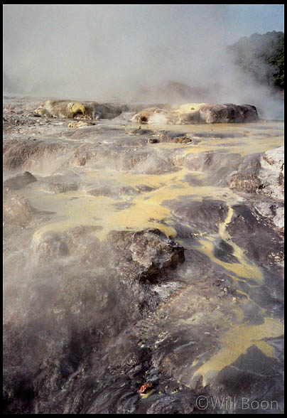 Boiling hot water running
 over the rocks of a geyser, Te Whakarewarewa, North Island