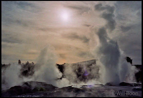 Pohu-tu(maori for
 big splash) geyser, Te Whakarewarewa, North Island, New Zealand