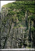 Steep cliff face made by movement of Fox Glacier, South island