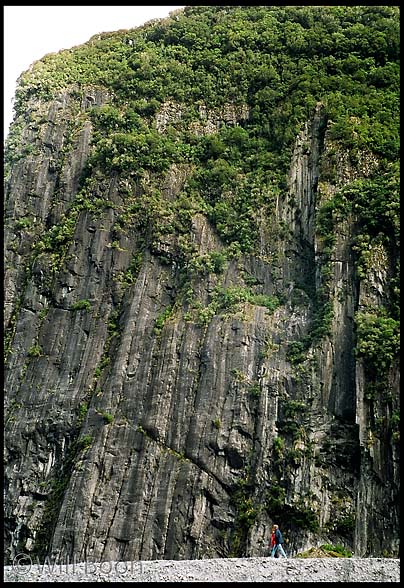 Steep cliff face made by movement of Fox Glacier