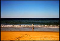 Blandine goes for a swim in the ocean, deserted beach, Queensland, Australia