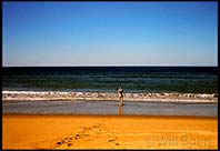 Blandine goes for a swim in the ocean, deserted beach, Queensland, Australia