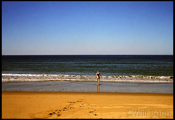 Blandine goes
 for a swim in the ocean, Queensland, Australia