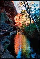 Rock and vegetation reflect bright colours in the water, Kings Canyon, Australia