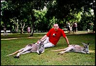 Ready for my afternoon rest with the kangaroos, Brisbane, Queensland, Australia