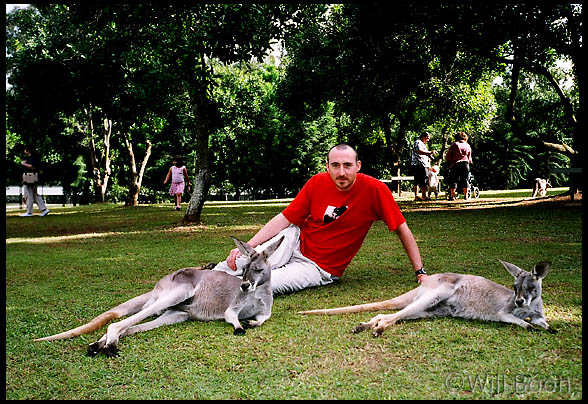 Ready for my afternoon rest with the kangaroos, Brisbane, Queensland